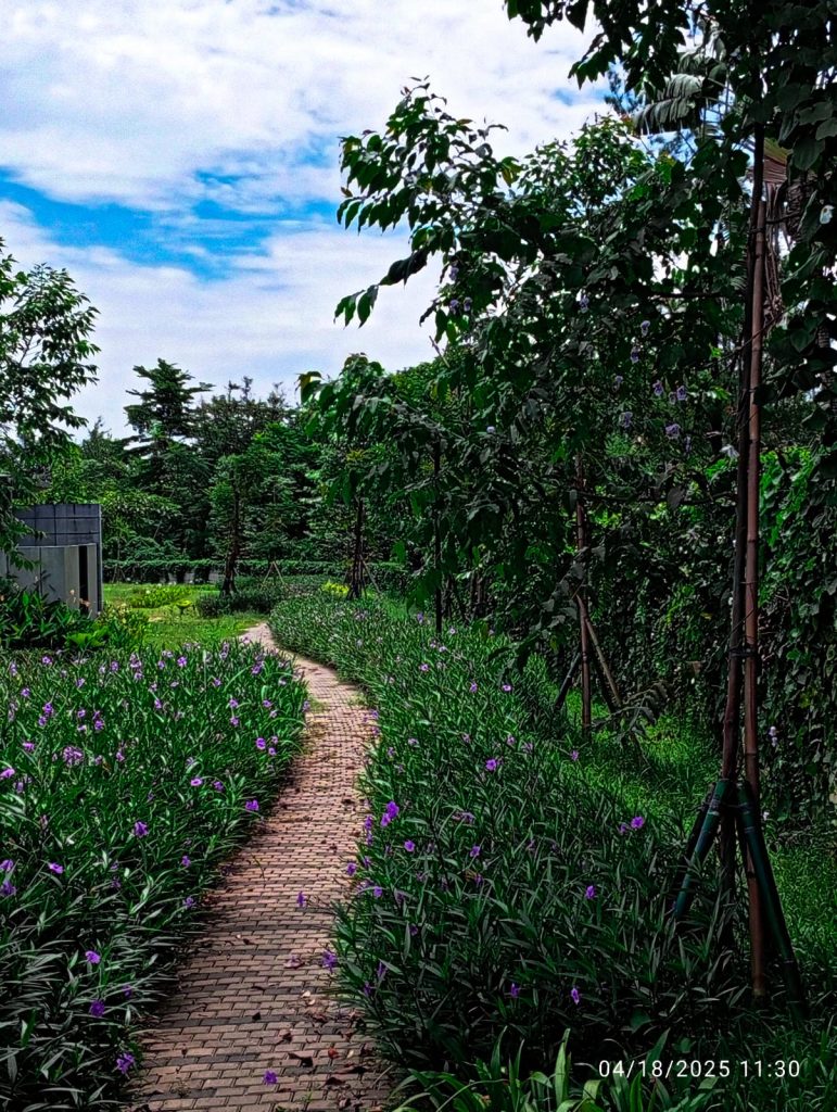 infrastruktur jogging track exclusive penghuni cluster tilia kawasan Shila at sawangan